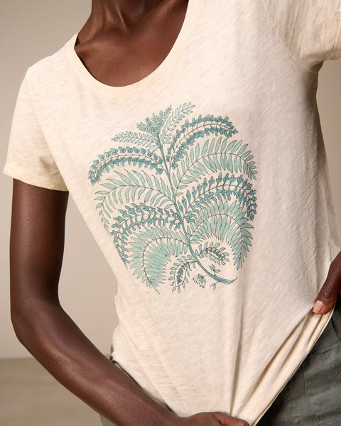 393126 t-shirt graphique coton bio