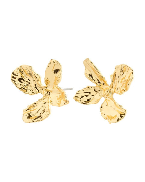 317915 Pilgrim boucle d’oreille DREAM