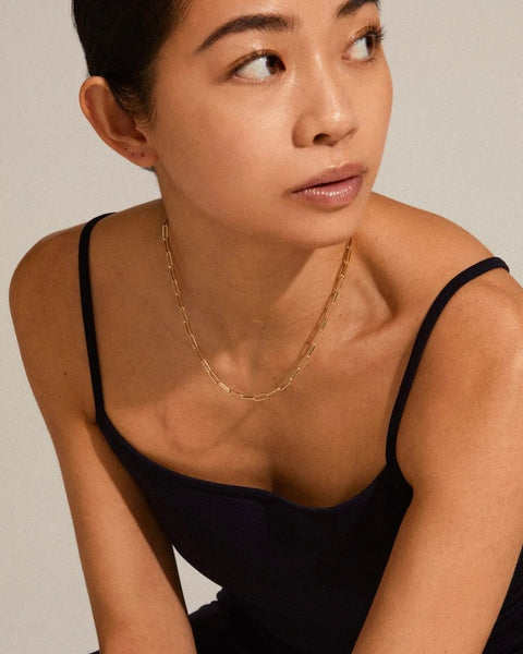 388525 Pilgrim chaîne mailles trombones RONJA