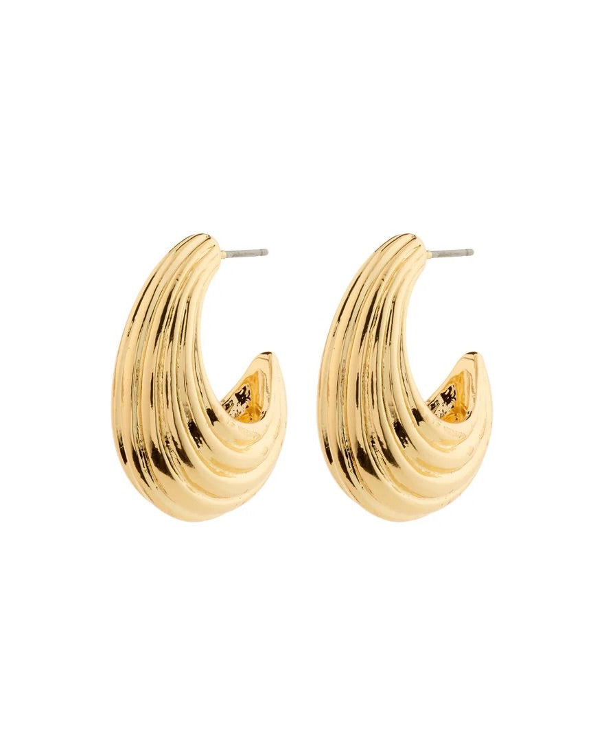318015 Pilgrim boucles d’oreilles ASLE