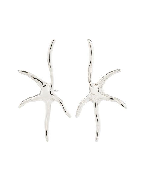 379216 Pilgrim boucles d'oreilles étoiles de mer