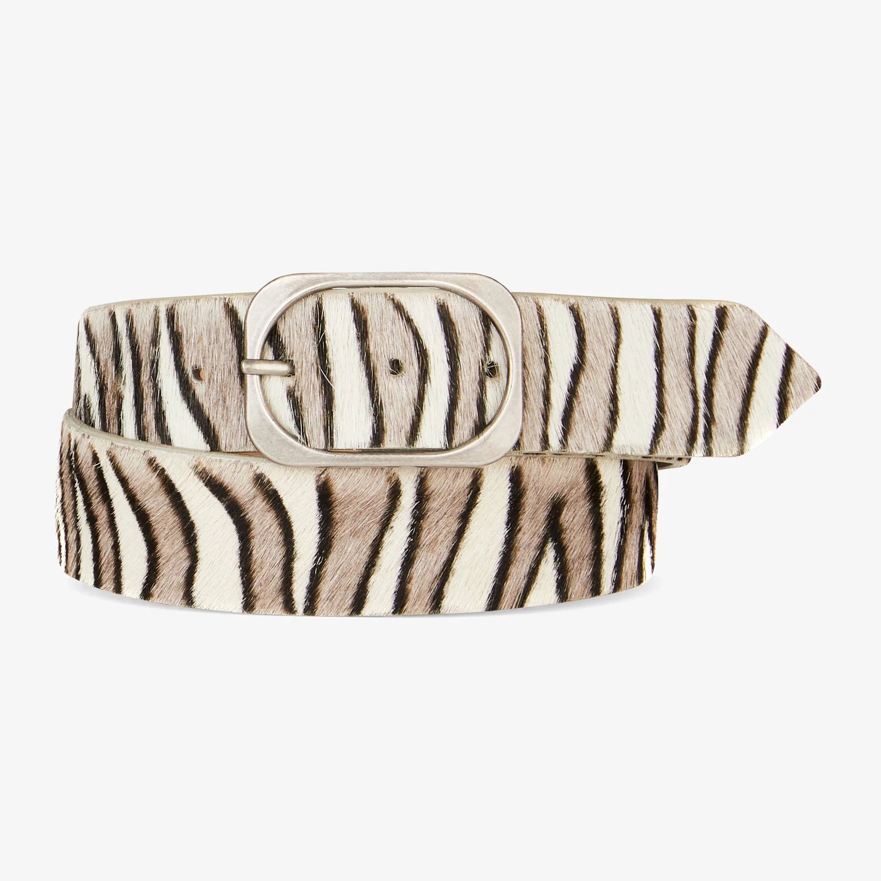 519413 Brave ceinture pony zébré